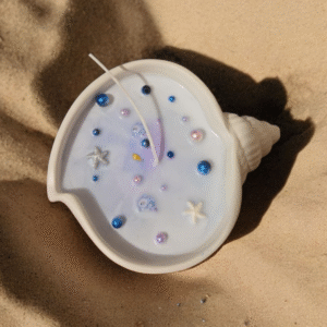 ✨Vela Concha Marina Decorativa✨